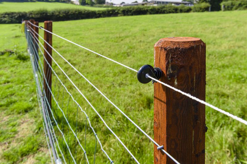 Pasture Fence Replacement