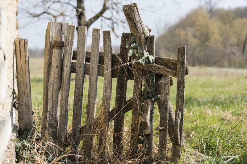 Fence Removal Services
